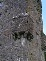 Irlande, Co Galway, Killarone, Aughnanure Castle, Machicoulis d'angle